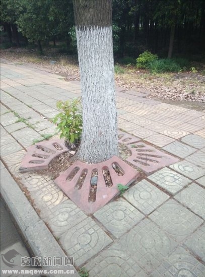 \